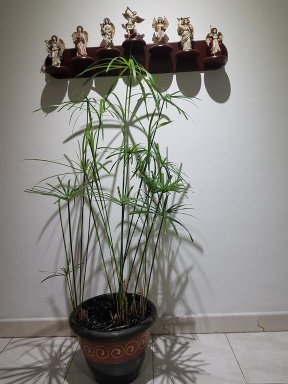Tu Hogar Cerca A La Zona T Apartment โบโกตา ภายนอก รูปภาพ